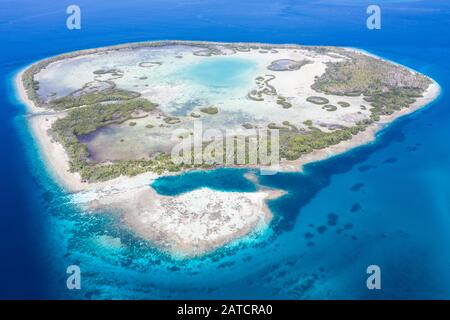 Eine abgelegene tropische Insel im Molukkensee wird von Mangrovenwald umgeben, der eine flache Lagune umgibt. Diese Insel liegt inmitten des Korallendreiecks. Stockfoto