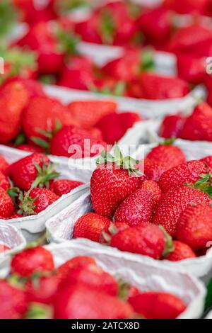 Frische Erdbeeren in den Körben zum Verkauf auf dem Bauernmarkt Stockfoto