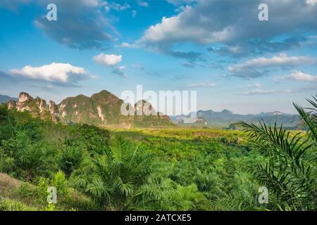 Die wunderschönen tropischen Landschaft in den Khao Sok Nationalpark, Thailand Stockfoto