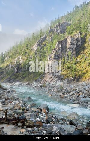 Sibirischer Bergrivulet am Berghang des Berges. Auf einem moosbedeckten Felsen wachsen seltene Bäume. Ein nebeliger Morgen im August. Sayan Mountains. Burjatia Stockfoto