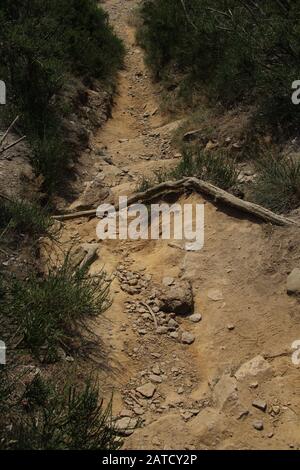 Schmaler steiler Schotterweg, der einen Hügel hinunter führt Stockfoto