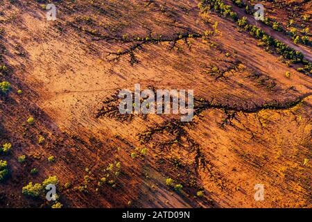 Luftaufnahme der trockenen Bachbetten, die Muster im roten Schmutz im abgelegenen Northern Territory in Zentralaustralien erzeugen Stockfoto