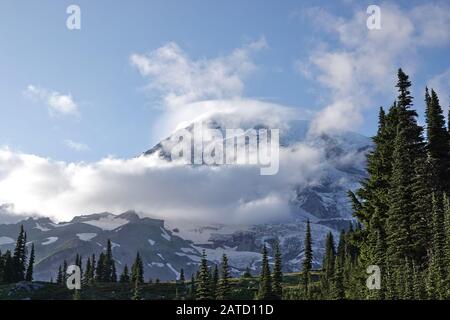 Mount Rainier - Blick vom Mount Rainier National Park Stockfoto