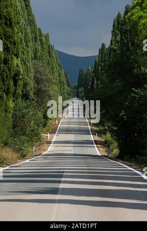 Die berühmte Straße, die von Zypressenbäumen begrenzt ist, führt zum bezaubernden Dorf Bolgheri, Toskana, Italien Stockfoto