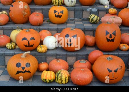 Kürbisse mit Halloween Jack-o'-Laterne mit einer Reihe lustiger und verspotterter Gesichter Stockfoto
