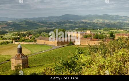 Blick auf die Weinberge von Pigeonieer, Tauben und Gamay, das Dorf Bagnols und die Landschaft in den goldenen Steinen - Pierre Dorées in Frankreich Stockfoto