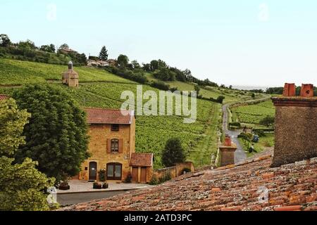 Ein Blick vom Dachreiter der Château de Bagnols vorbei am Dorf auf die Weinberge der Gamay-Rebstöcke, um Beaujolais Wein pierre dorées Region Frankreich zu machen; Stockfoto