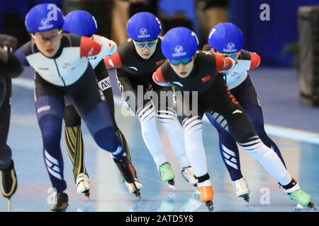 Milwaukee, USA. Februar 2020. MA Yuhan (C) aus China tritt beim Massenstartrennen der Frauen bei den ISU Four Continents Speed Skating Championats in Milwaukee, den Vereinigten Staaten, 1. Februar 2020 an. Kredit: Li Ying/Xinhua/Alamy Live News Stockfoto