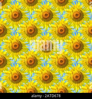 Nahtlose abstrakte Frühling, Sommer natürlichen Hintergrund der blühenden Sonnenblumen Stockfoto