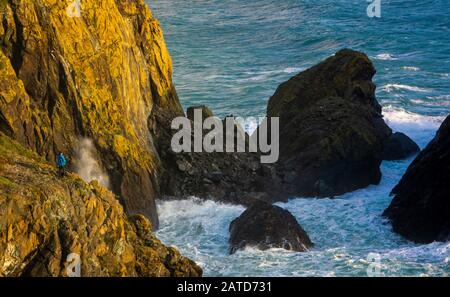 Ein Wanderer beobachtet, wie die Wellen auf den Felsen in Kynance Cove, Cornwall, Großbritannien abstürzen Stockfoto