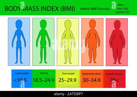 Body-Mass-Index von Untergewicht zu extrem fettleibig. Silhouetten von Frauen mit verschiedenen Adipositas-Abschlüssen. BMI-Infografik für das Risiko einer assoziierten Krankheit Stock Vektor