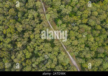 Luftbild einer Straße durch den Wald, Great Otway National Park, Victoria, Australien Stockfoto