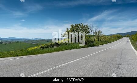 Gerader Weg durch ländliche Landschaft, Volterra, Pisa, Toskana, Italien Stockfoto