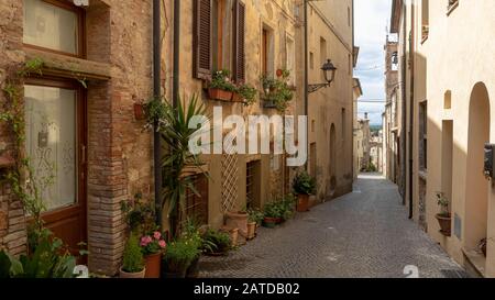 Straße durch die mittelalterliche Stadt Bibbona, Livorno, Toskana, Italien Stockfoto