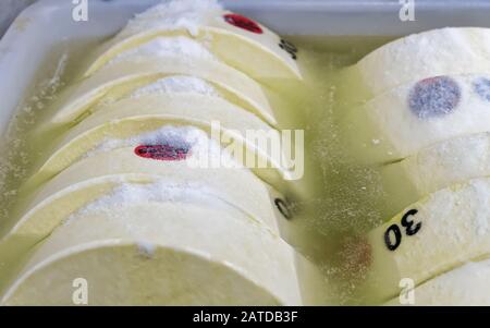 Frischer Gruyere de Comte Käse in Schüssel mit Salz Burgundy Stockfoto