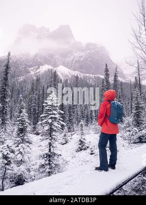 Weiblicher Wanderer mit Blick auf die Berge, Banff National Park, Alberta, Kanada Stockfoto