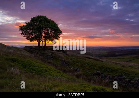 Dieses Bauernhaus ist eine Luftaufnahme von Top Withens oder Top Withins und wurde mit "Wuthering Heights" assoziiert. Stockfoto