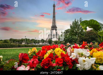 Skyline der Pariser Stadtdächer mit Eiffelturm mit strahlenden Frühlingsblumen Paris, Frankreich Stockfoto