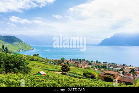 Landschaft des Lavaux Vineyard Terraces Wanderweg der Schweiz Stockfoto
