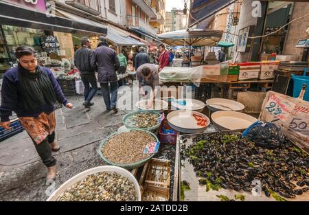 Fischhändler in der Via Sopramuro, Mercato di Porta Nolana Viertel, Neapel, Kampanien, Italien Abschaltdruck Stockfoto