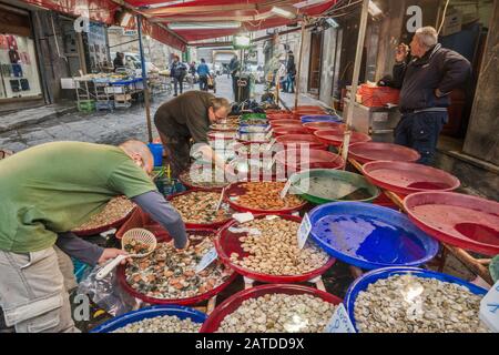 Fischhändler in der Via Sopramuro, Mercato di Porta Nolana Viertel, Neapel, Kampanien, Italien Abschaltdruck Stockfoto