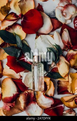 Feuchtigkeitsspendende Serum in einer Kunststoff- oder Glasflasche auf dem Hintergrund farbiger Rosenblätter. Erzeugen Sie ein natürliches Serum oder Lotion aus Blumenextrakten. Homemad Stockfoto