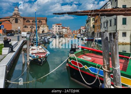 Fischerboote am Canal Vena, Santa Maria Assunta Cattedrale (Kathedrale von Chioggia) in Chioggia, Venetien, Italien Stockfoto