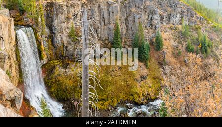 Panoramablick auf die 97-Fuß Tumalo Falls im Tumalo Creek in der Nähe von Bend Stockfoto