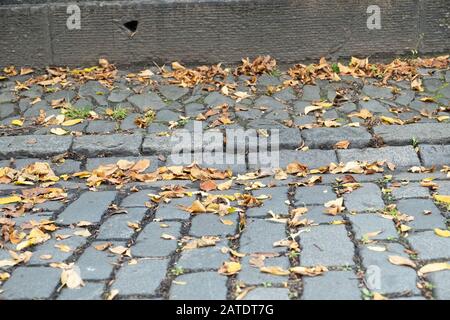 Nahaufnahme von Dachrinne, Bordstein und Straßenbelag an der Seite der alten gepflasterten Stadtstraße, Edinburgh, Schottland, Großbritannien Stockfoto