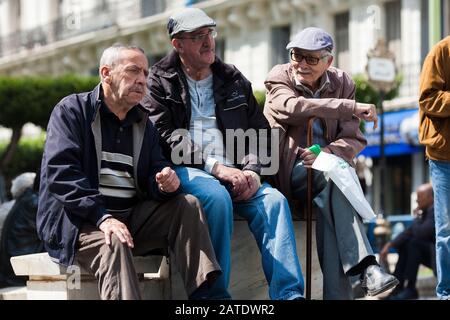 In Algier herumsitzen. Algerien hat eine hohe Arbeitslosigkeit, so dass viele Männer sitzen und Musik spielen oder sich unterhalten, während die Stunden weg sind. Algier. Stockfoto