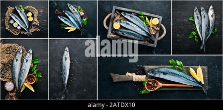 Fotocollage Fisch, Makrele und Gewürze. Auf schwarzem Hintergrund. Stockfoto