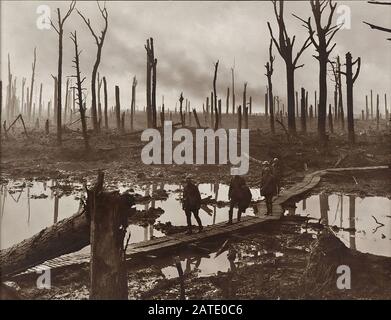 Gunners von der Australian 4th Division auf einer Strecke von Duckboard in Château Wood während der Dritten Schlacht von Ypern in Belgien. Foto von Frank Hurley am 29. Oktober Stockfoto