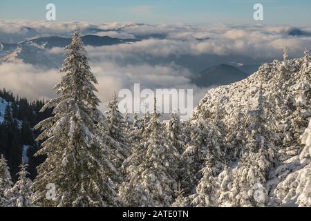 Winter im Ceahlauer massiv im Nationalpark Ceahlau, Rumänien Stockfoto