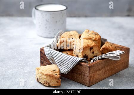 Schokoladen-Chip-Scones in einer Holzkiste, ein Becher Milch auf grauem Hintergrund Stockfoto