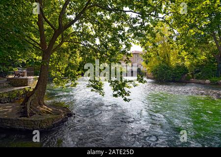 Quelle der Sorgue bei Fontaine de Vaucluse, einer Gemeinde im französischen Departement Vaucluse und der Region Provence-Côte d'Azur Stockfoto