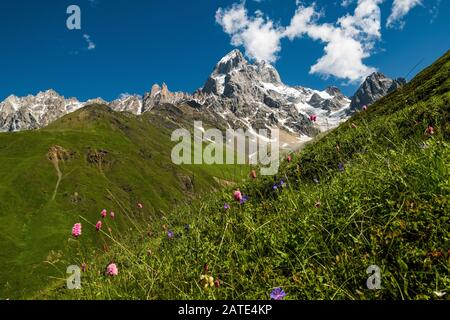 Kaukasus-Sommerlandschaft. Blick zum Gipfel des Mt. Ushba, eines der tödlichsten Berge in der Svaneti Region in Georgia Stockfoto