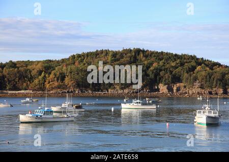 Fischerboote, Bar Harbor, Mount Desert Island, Maine, Neuengland, USA Stockfoto