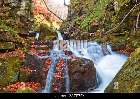 Oirase Stream im Herbst, Aomori, Tohoku, Japan Stockfoto