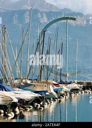Jachthafen und Yachten im Genfersee Sommer in der Schweiz Stockfoto