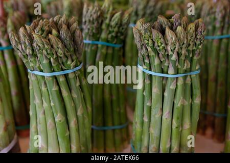 Spargel (Asparagus officinalis), Bündel, geerntet Spargel, Italien Stockfoto