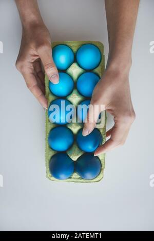 Oben Blick Hintergrund weibliche Hand Anordnung der Zusammensetzung von bemalten blauen Ostereiern in Kiste auf weißem, Kopierraum Stockfoto