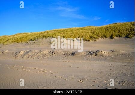 Holländische Landschaft winn Nordmeer Sanddünen in der Nähe von Castricum aan Zee, Niederlande im Winter Stockfoto