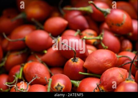 Tamarillo, Ei-förmigen genießbare Früchte, auch als Baum Tomate, Tomate de Arbol, Tomate Andino, Tomate Serrano, Tomate de Yuca Nahaufnahme Stockfoto