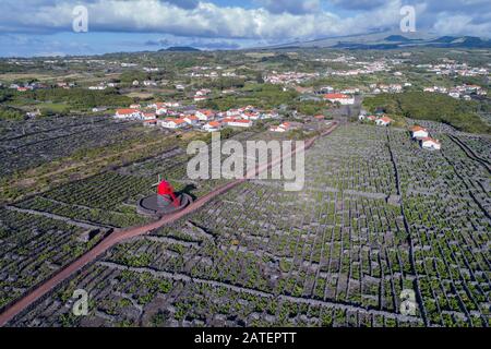 Luftaufnahme des Weinguts auf Pico Island mit der Windmühle Moinho do Pico Vermelho, Pico Island, Acores Stockfoto