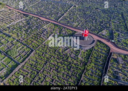 Luftaufnahme des Weinguts auf Pico Island mit der Windmühle Moinho do Pico Vermelho, Acores Stockfoto