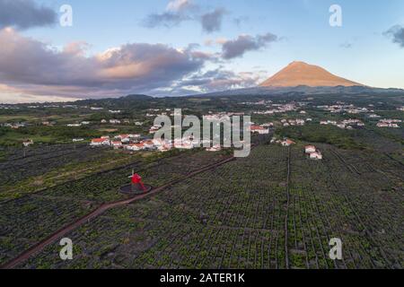 Luftbild des Weinguts auf Pico Island mit Vulkan Pico im Backgraund, Pico Island, Acores Stockfoto