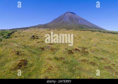 Luftansicht des Mount Pico, Ponta do Pico, der Berg Pico ist die höchste Erhebung des Mittelatlantischen Höhenzugs, Aceres Stockfoto