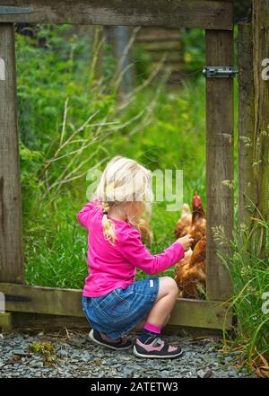 Ein kleines Mädchen spielt mit Hühnern auf einem Bauernhof Stockfoto