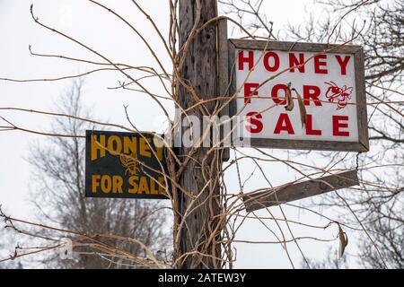 "Honey for Sale"-Zeichen, E USA, von James D Coppinger/Dembinsky Photo Associates Stockfoto