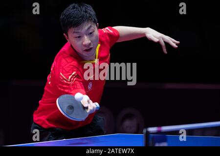 Magdeburg, Deutschland. Februar 2020. Tischtennis: German Open, Herren, Einzel, Finale, Xu (China) - Ma (China). MA Lang in Aktion. Kredit: Swen Pförtner / dpa / Alamy Live News Stockfoto